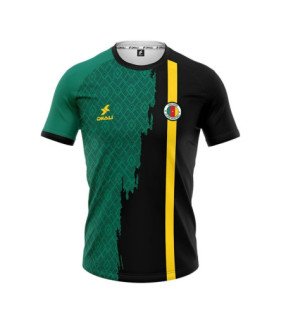 Cameroon Shirt jersey 2026 - Dkali